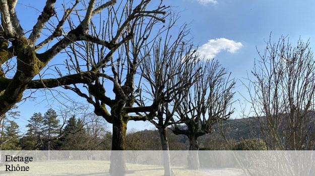 Etetage-8