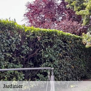 Jardinier-3