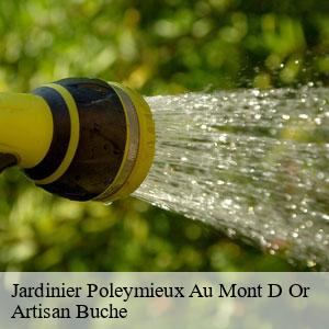 Jardinier-4