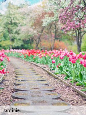 Jardinier-6