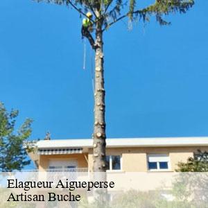 Elagueur-4