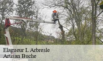 Elagueur-1