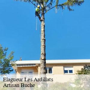 Elagueur-4