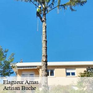 Elagueur-4
