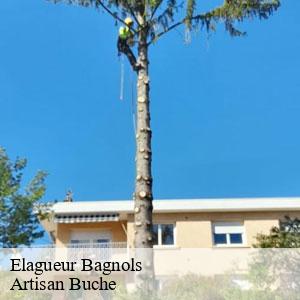 Elagueur-4