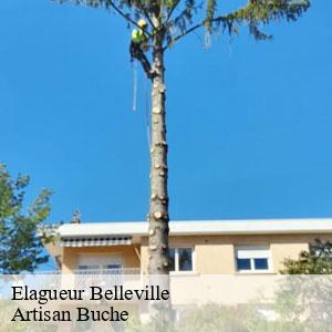 Elagueur-4
