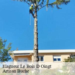 Elagueur-4