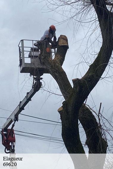 Elagueur-2