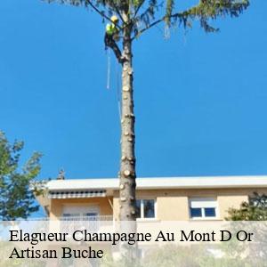 Elagueur-4