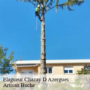 Elagueur-4
