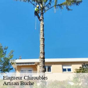 Elagueur-4