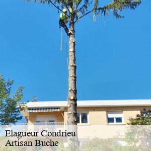 Elagueur-4