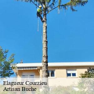 Elagueur-4