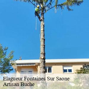 Elagueur-4