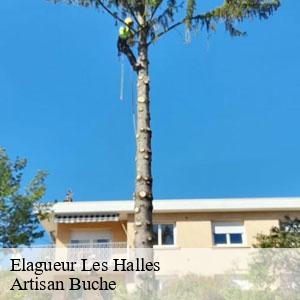Elagueur-4