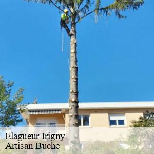 Elagueur-4