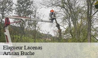 Elagueur-1