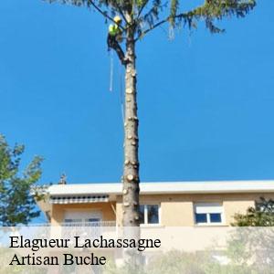 Elagueur-4