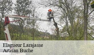 Elagueur-1