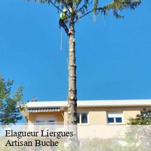 Elagueur-4