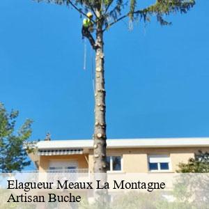 Elagueur-4