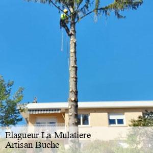 Elagueur-4