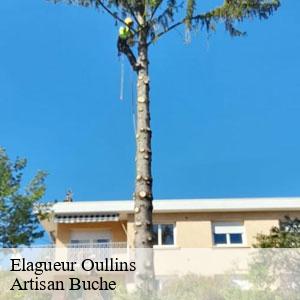 Elagueur-4