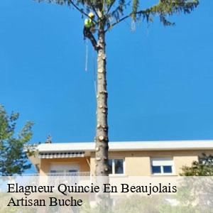 Elagueur-4
