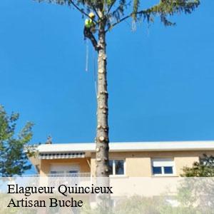 Elagueur-4