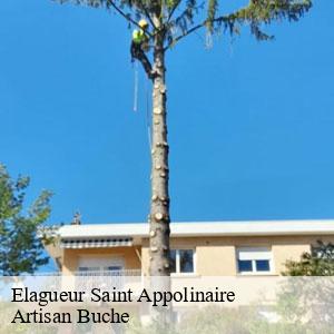 Elagueur-4