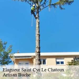 Elagueur-4