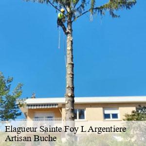 Elagueur-4