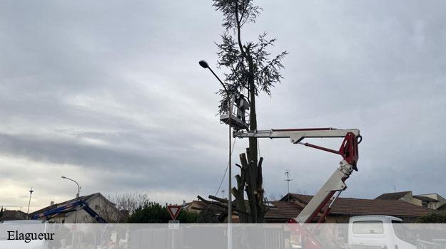 Elagueur-9