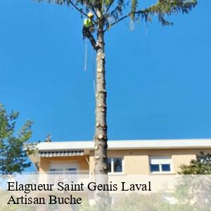 Elagueur-4