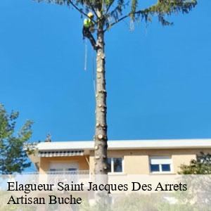Elagueur-4