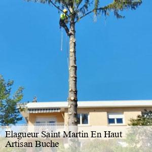 Elagueur-4