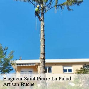 Elagueur-4