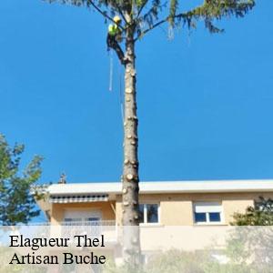 Elagueur-4