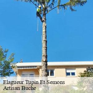 Elagueur-4
