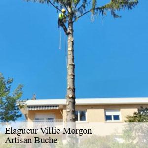Elagueur-4