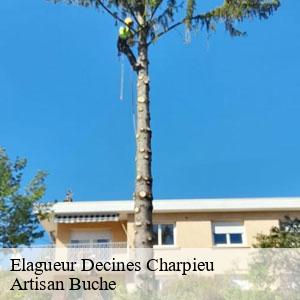 Elagueur-4