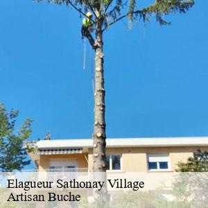 Elagueur-4