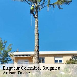 Elagueur-4