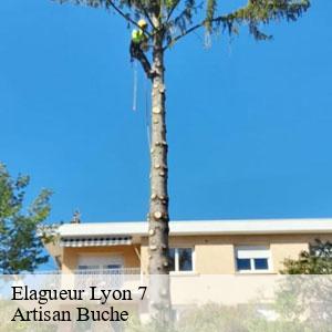 Elagueur-4