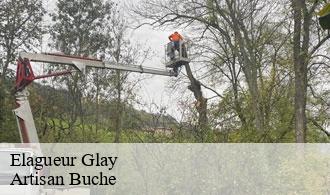 Elagueur-1