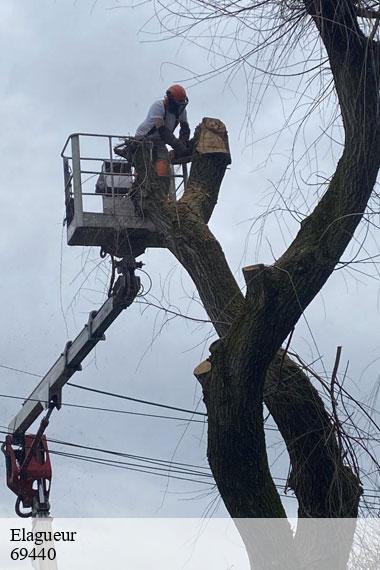 Elagueur-2