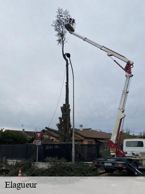 Elagueur-6