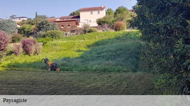 Paysagiste-9