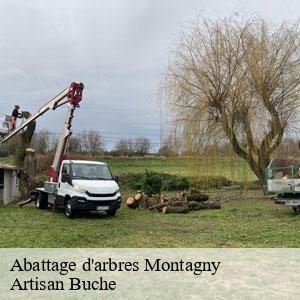Abattage d'arbres-4