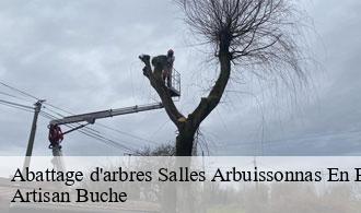 Abattage d'arbres-1